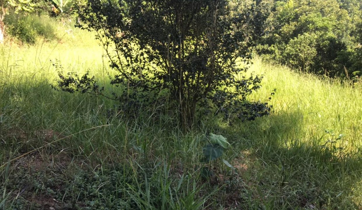 WhatsApp Image 2021-03-11 at 10.33.54 (3)