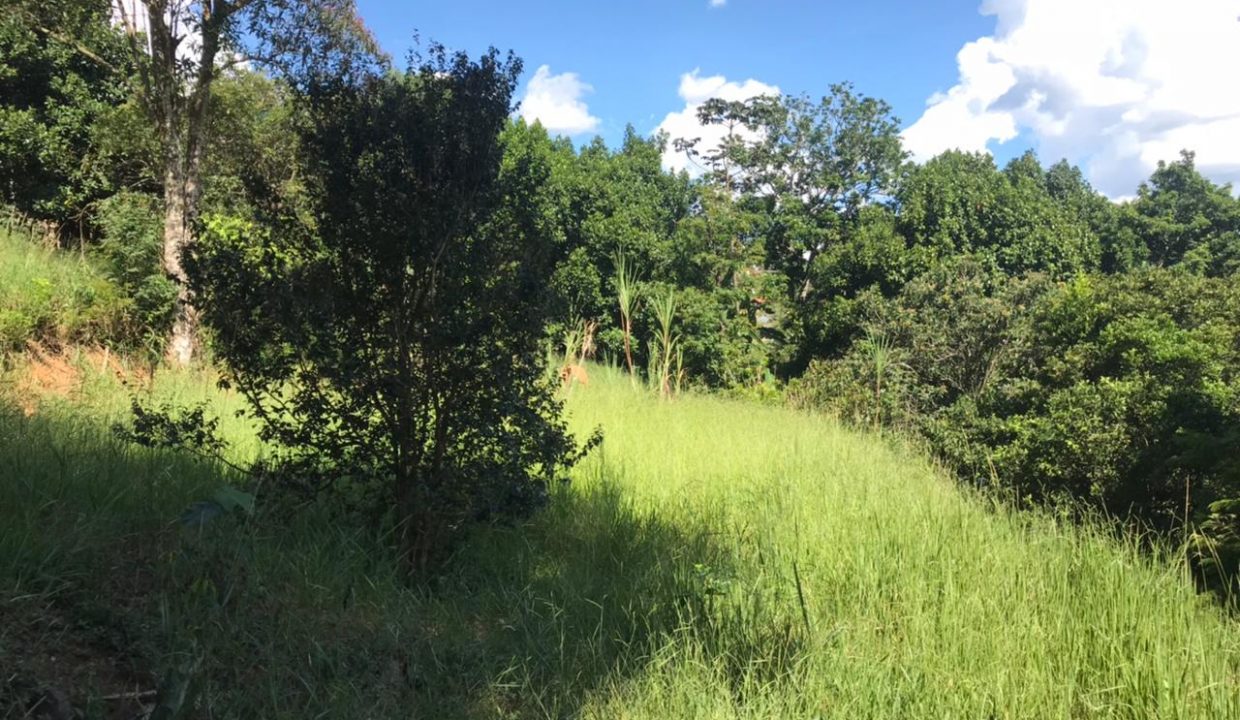 WhatsApp Image 2021-03-11 at 10.33.54