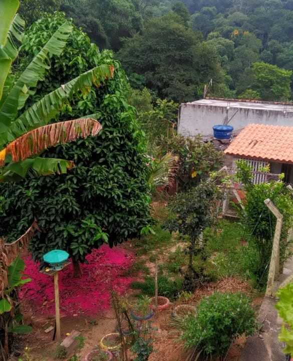 WhatsApp Image 2021-05-05 at 15.17.19