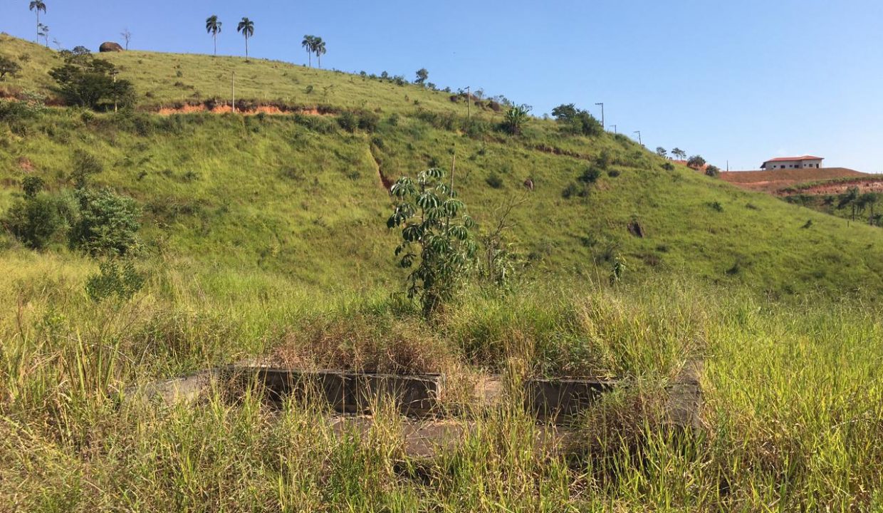 WhatsApp Image 2021-05-20 at 18.20.56 (2)