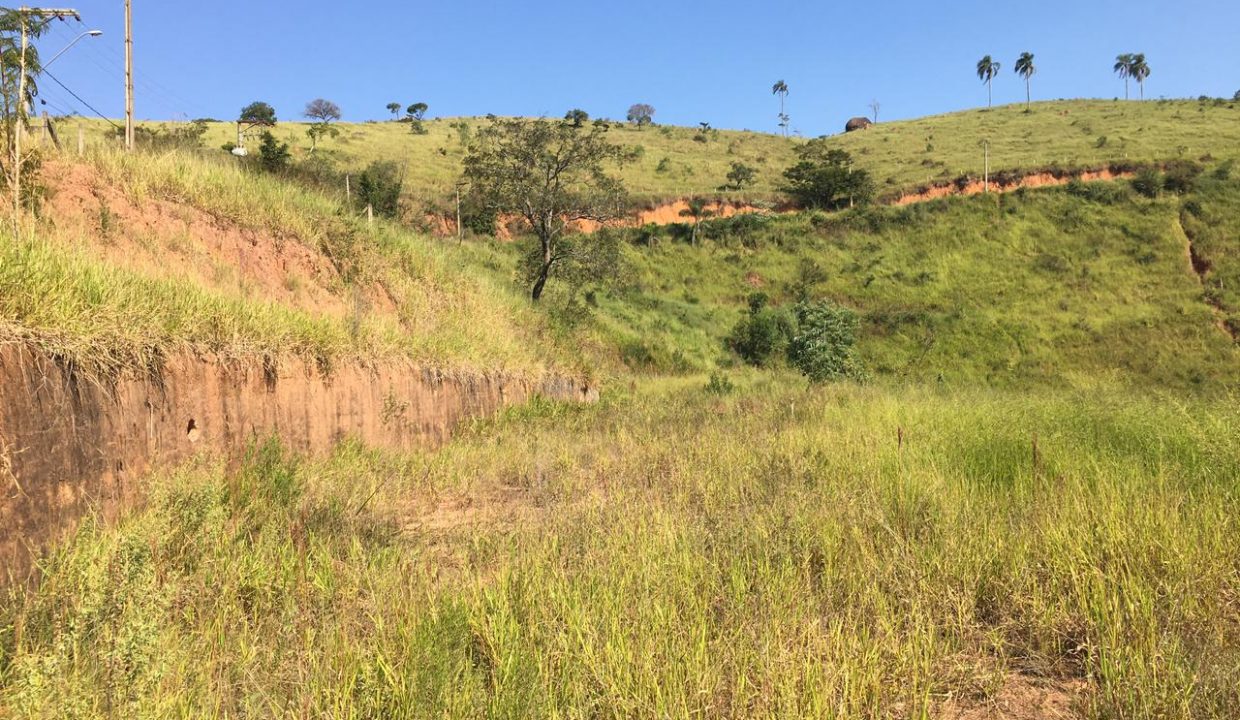 WhatsApp Image 2021-05-20 at 18.20.58 (3)