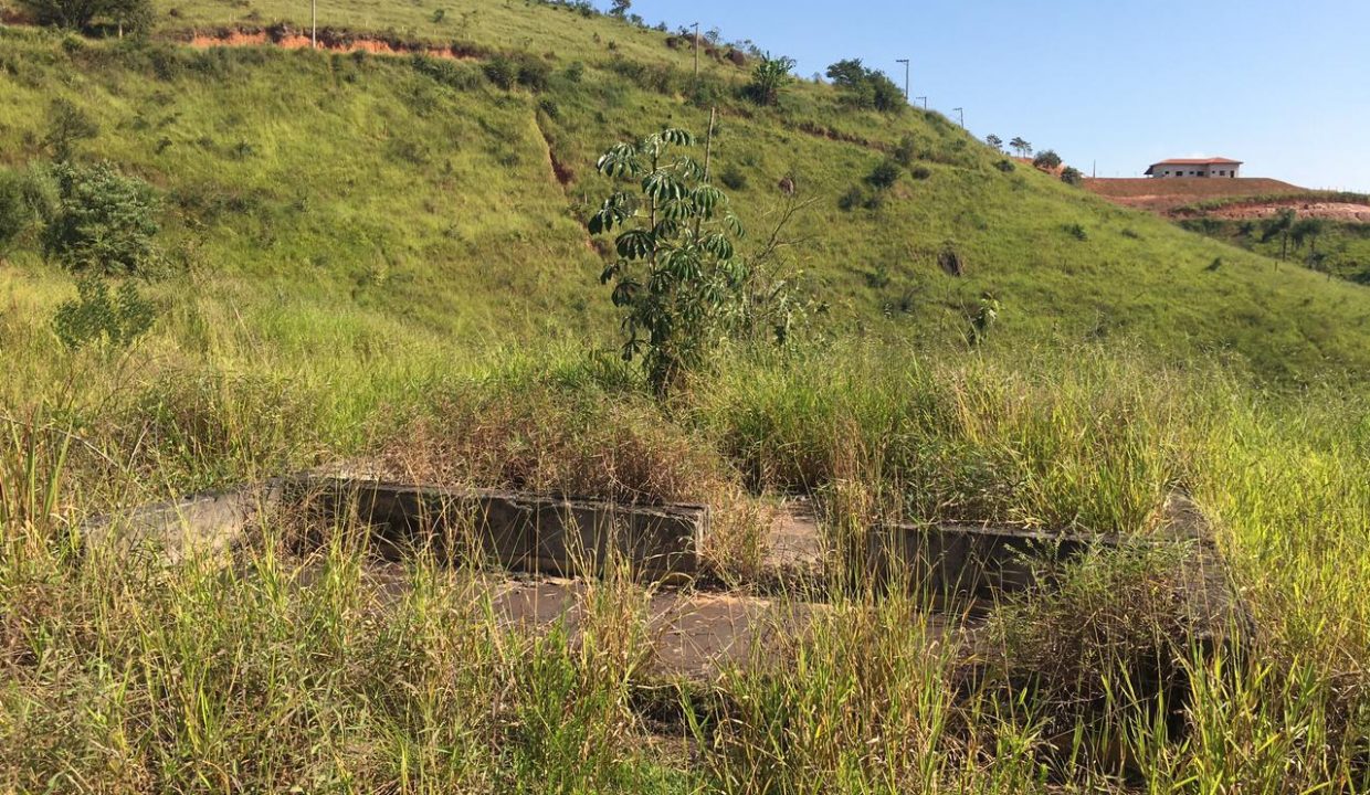 WhatsApp Image 2021-05-20 at 18.20.58 (4)