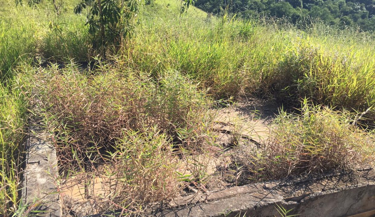 WhatsApp Image 2021-05-20 at 18.20.59 (1)