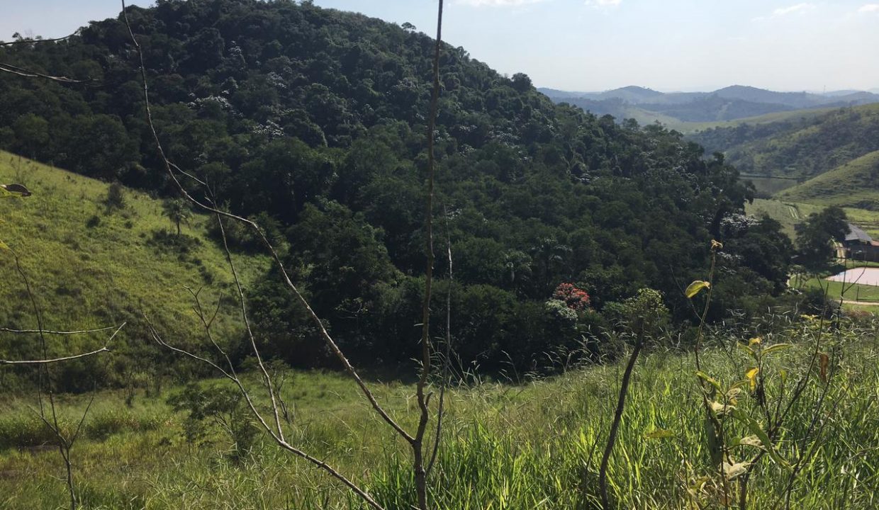 WhatsApp Image 2021-05-20 at 18.20.59 (4)