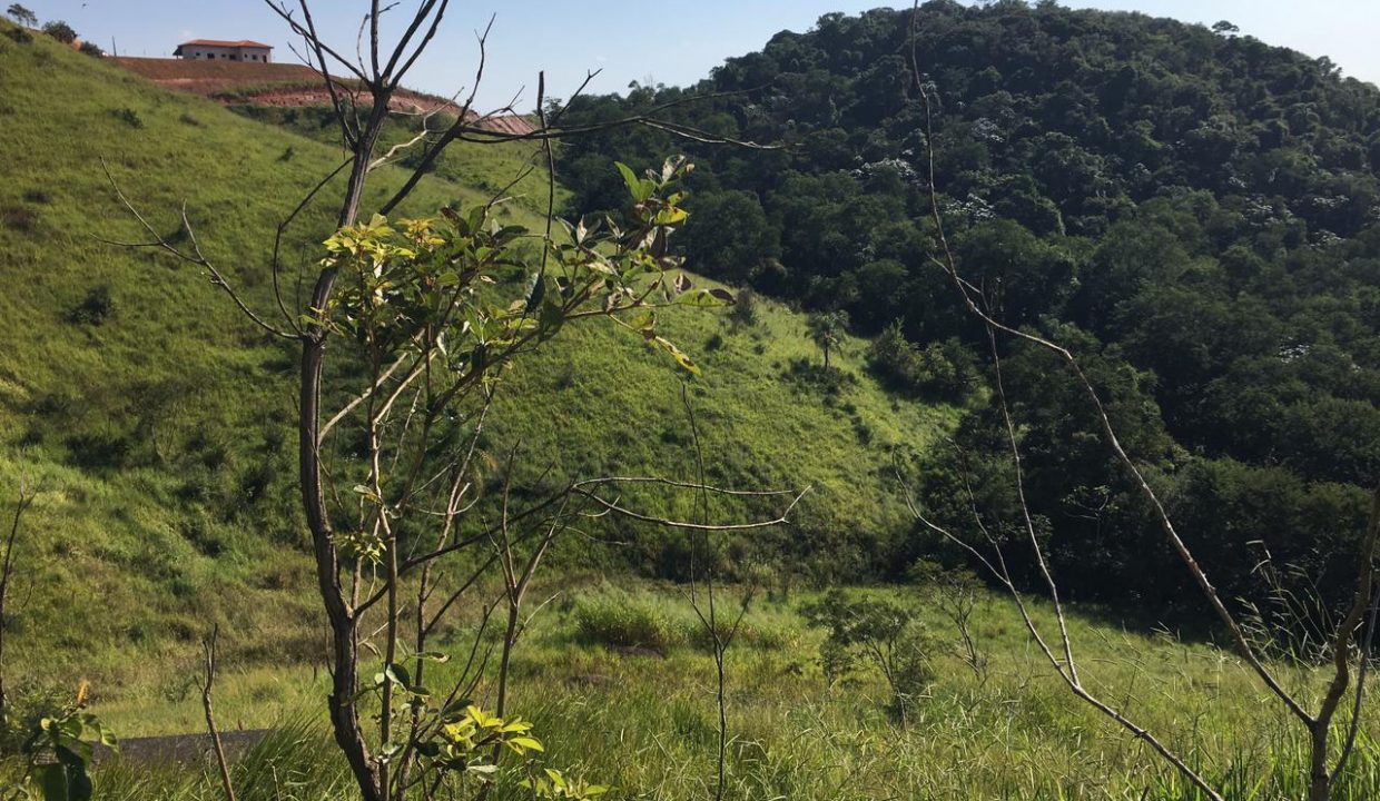 WhatsApp Image 2021-05-20 at 18.21.00 (2)