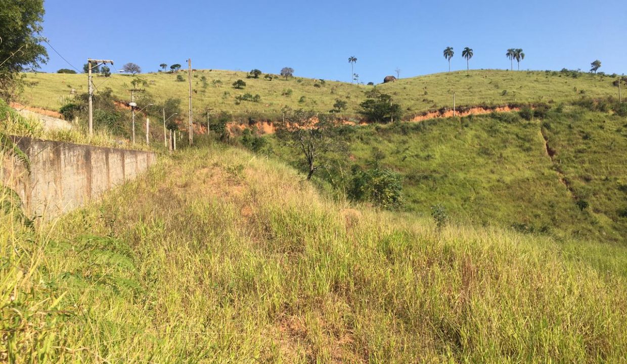 WhatsApp Image 2021-05-20 at 18.21.01 (2)