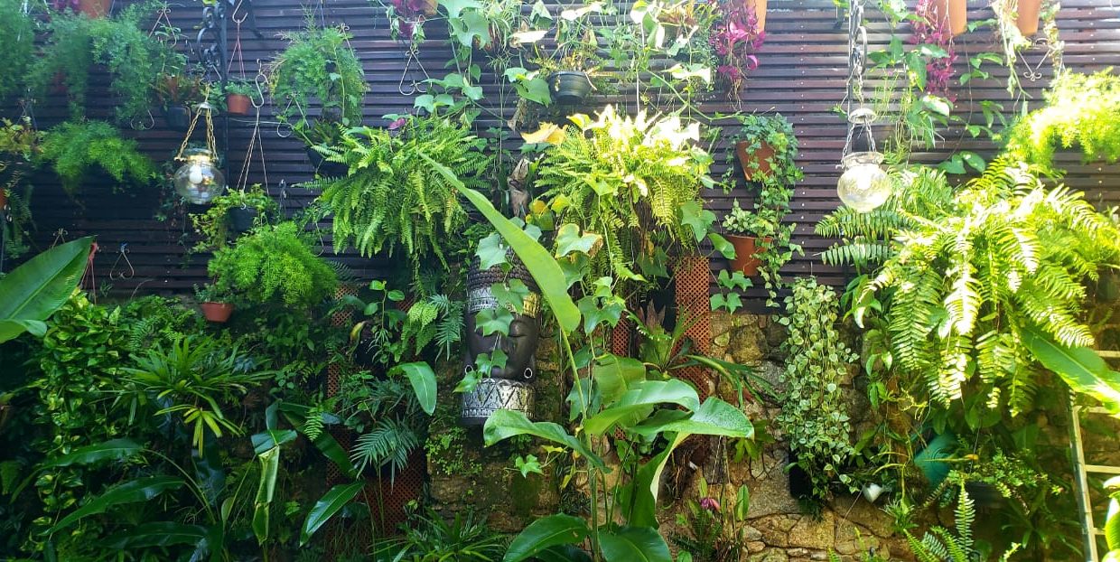 WhatsApp Image 2021-05-23 at 09.06.11 (1)