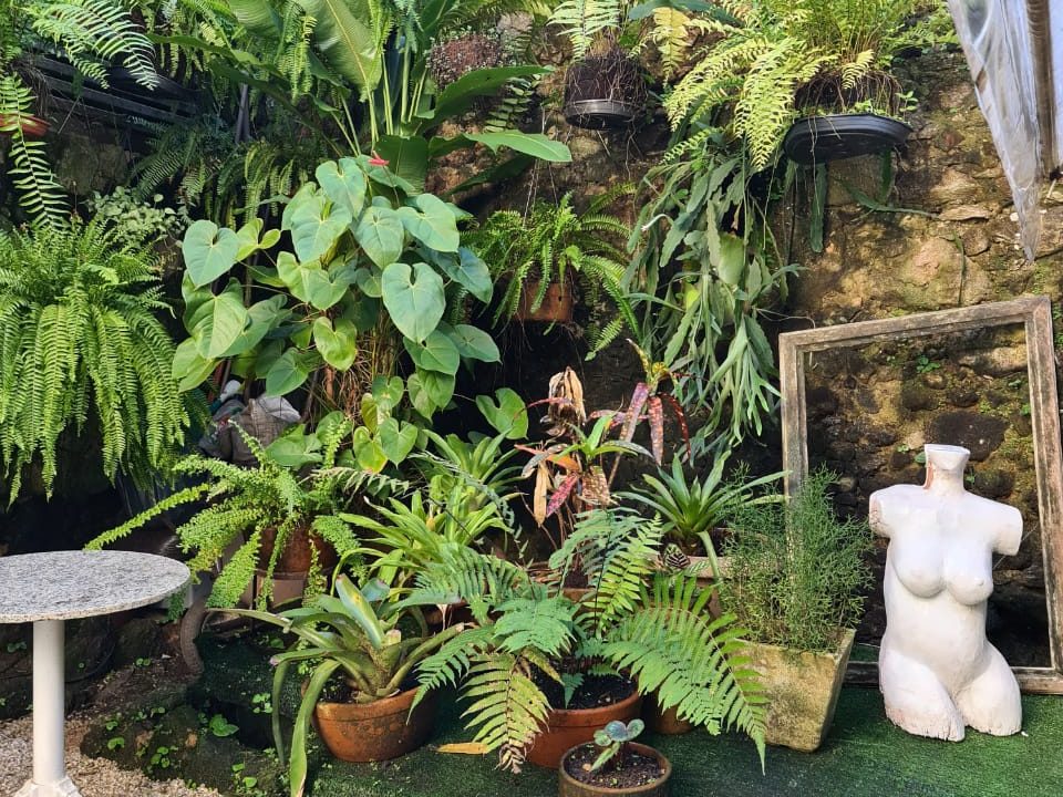 WhatsApp Image 2021-05-23 at 09.06.14 (2)