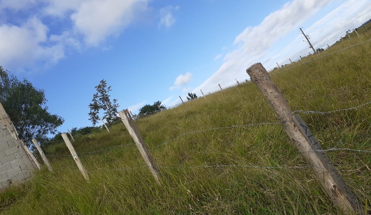 WhatsApp Image 2021-06-02 at 16.13.09 (1)