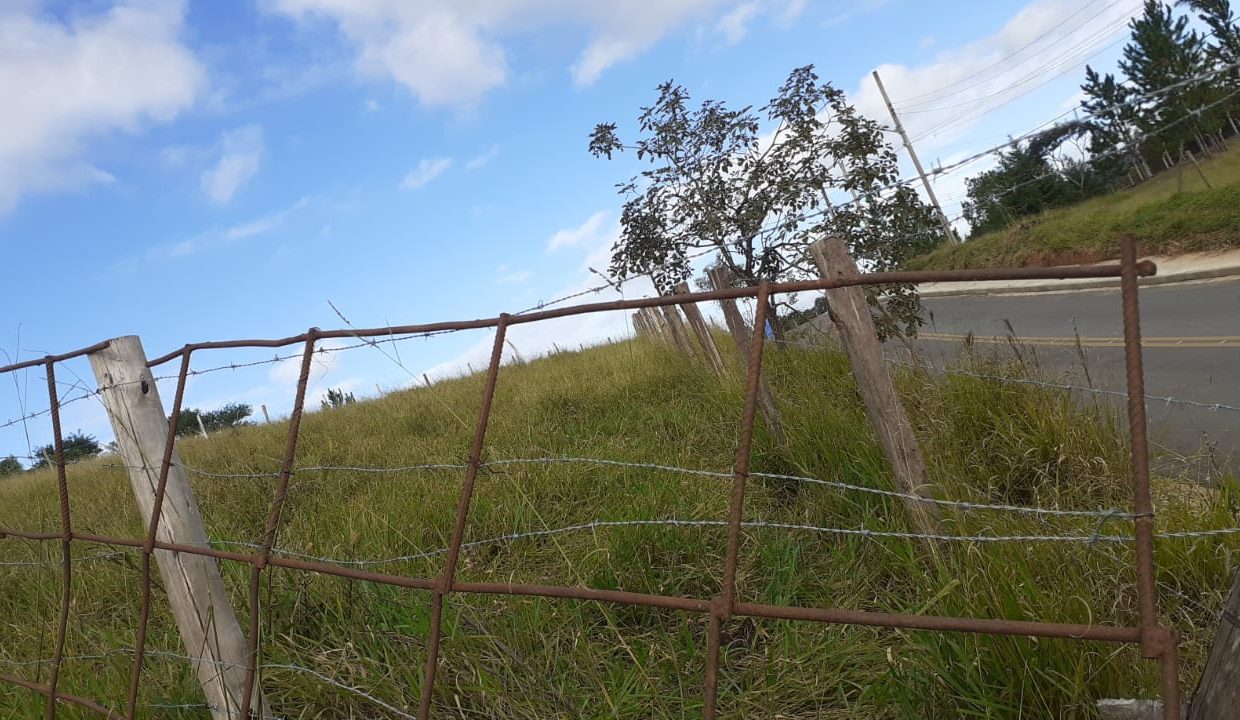 WhatsApp Image 2021-06-02 at 16.13.10