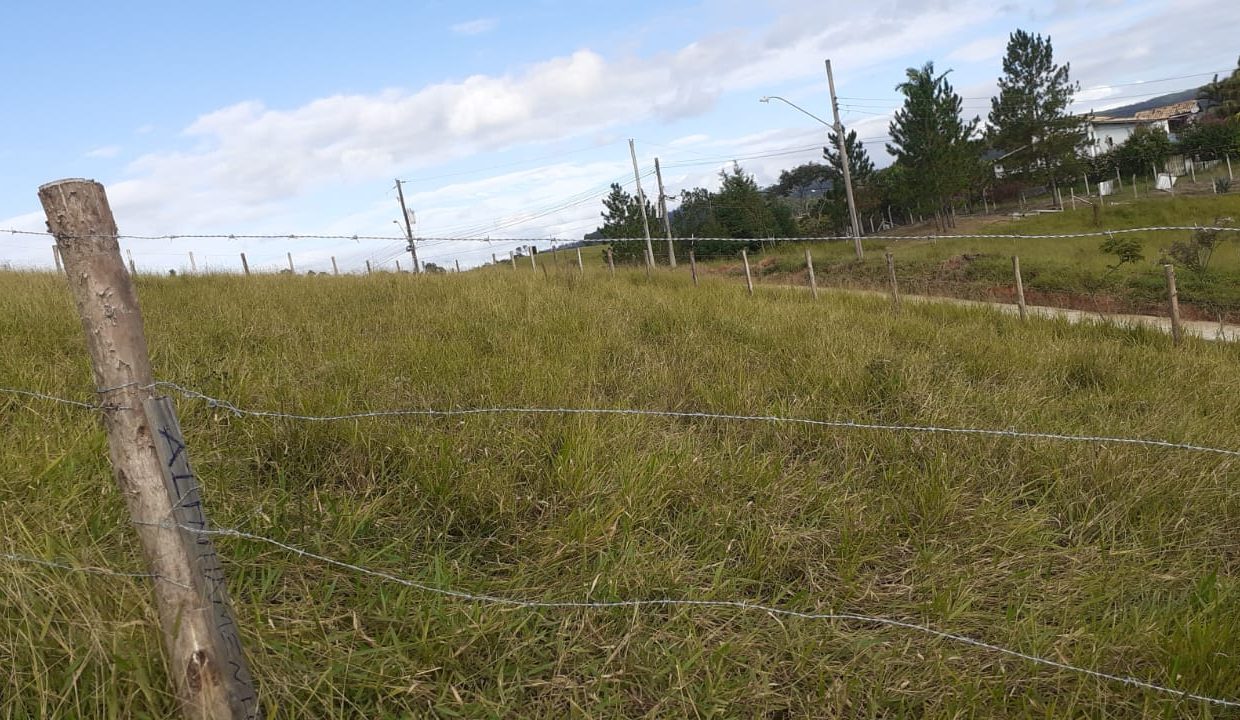 WhatsApp Image 2021-06-02 at 16.13.10 (3)