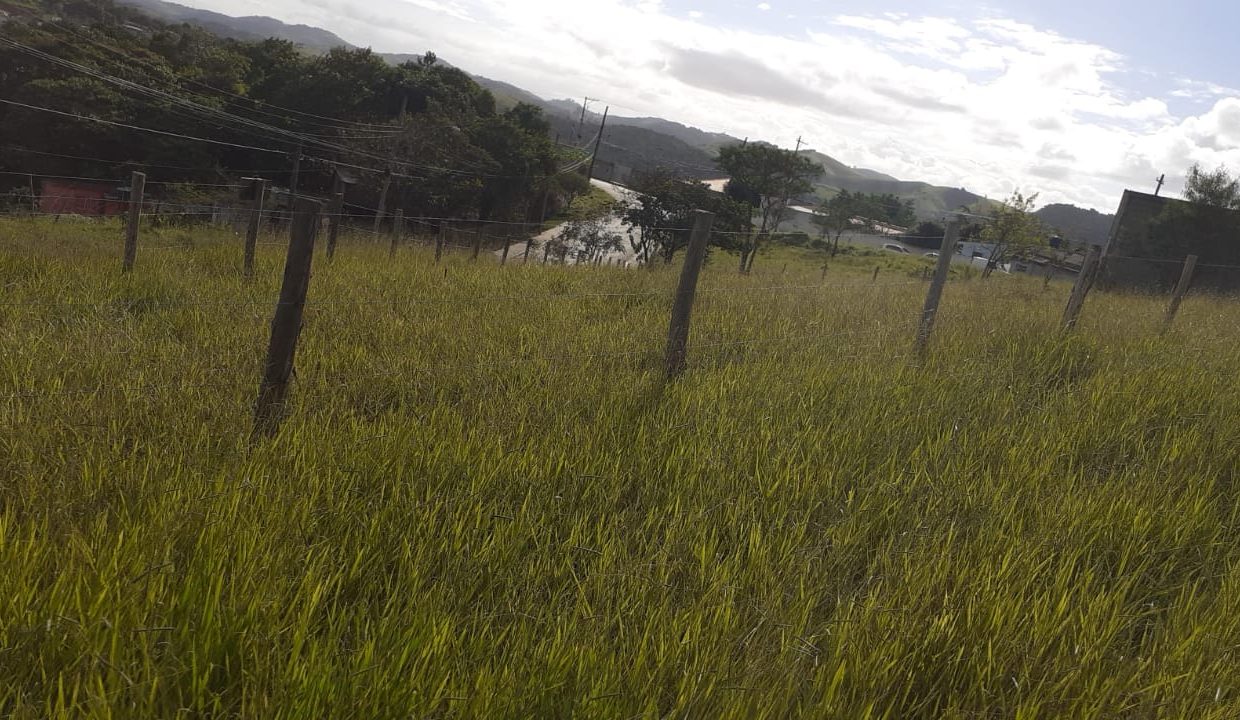 WhatsApp Image 2021-06-02 at 16.13.11 (1)