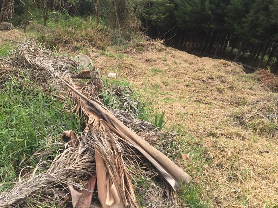 WhatsApp Image 2021-07-21 at 15.24.51 (1)