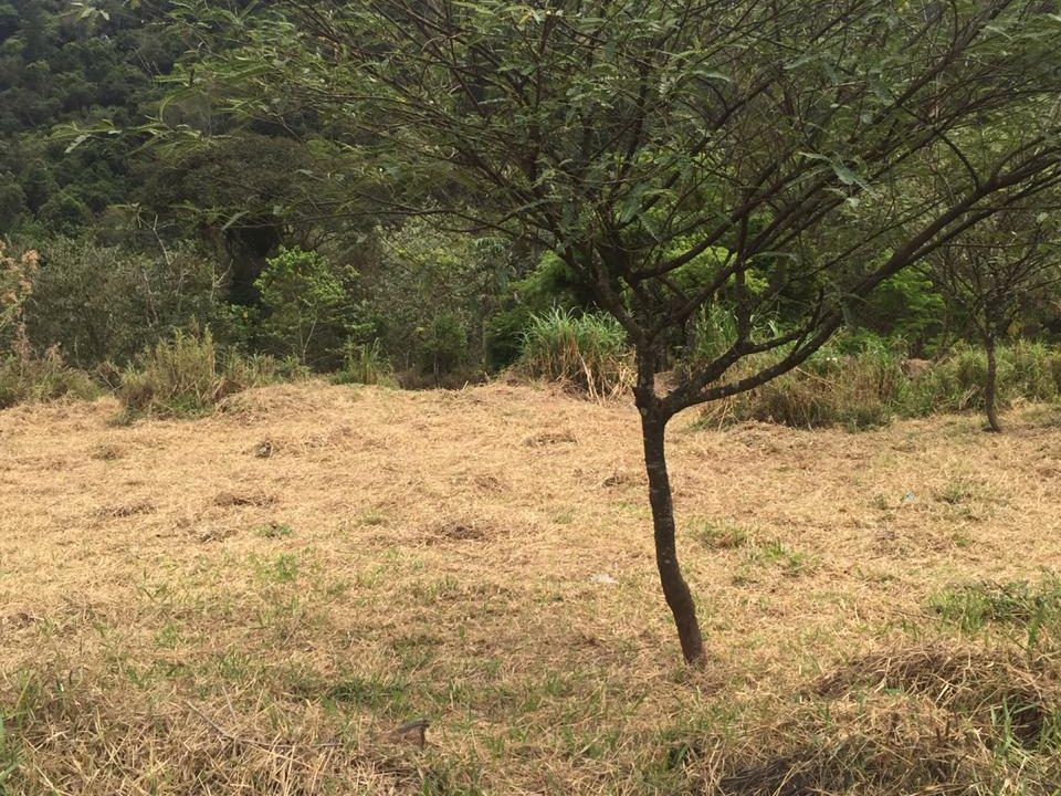 WhatsApp Image 2021-07-21 at 15.24.51 (2)