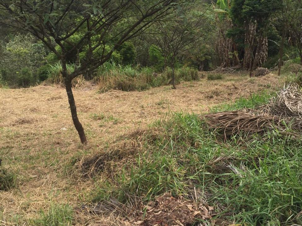 WhatsApp Image 2021-07-21 at 15.24.52 (2)