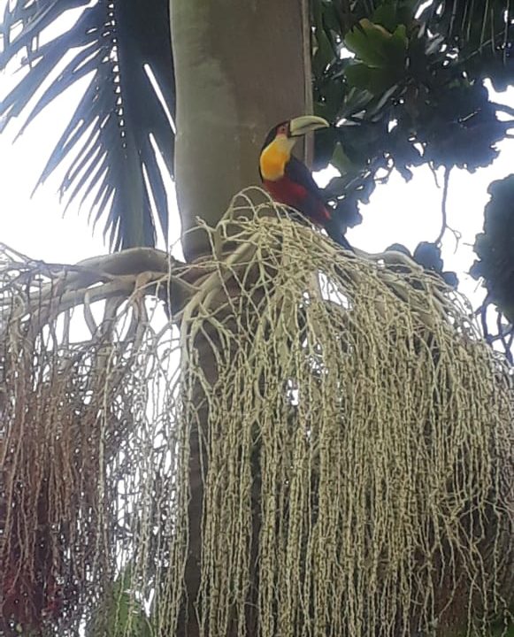 WhatsApp Image 2021-07-21 at 15.24.52 (3)