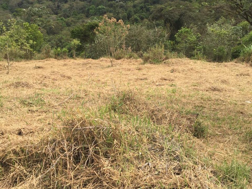 WhatsApp Image 2021-07-21 at 15.24.52