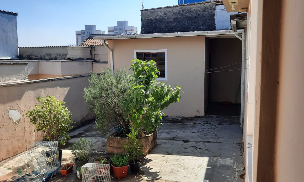 WhatsApp Image 2021-07-21 at 21.18.11 (1)