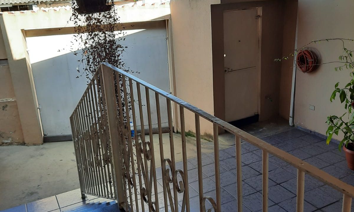 WhatsApp Image 2021-07-21 at 21.18.11 (4)