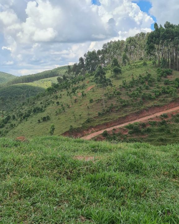 WhatsApp Image 2021-09-16 at 12.51.50 (1)