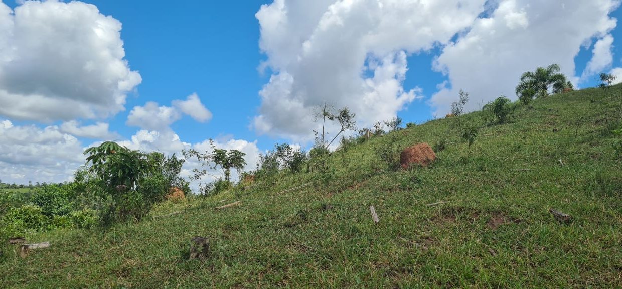 WhatsApp Image 2021-09-16 at 12.51.51 (1)