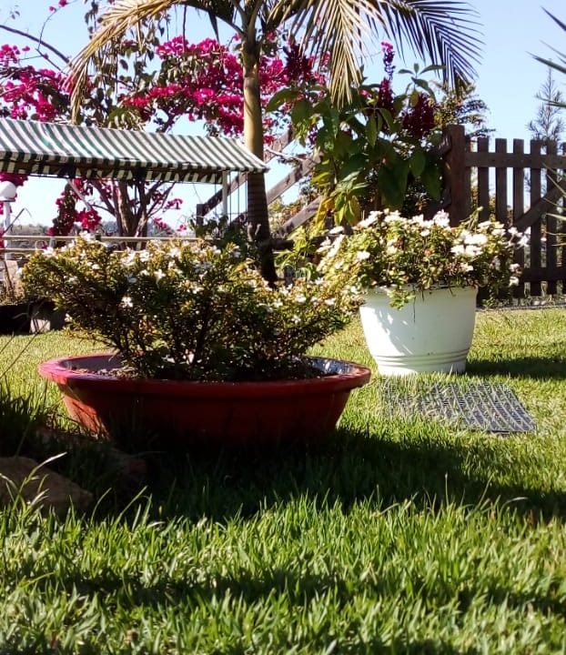 WhatsApp Image 2021-11-23 at 21.15.33