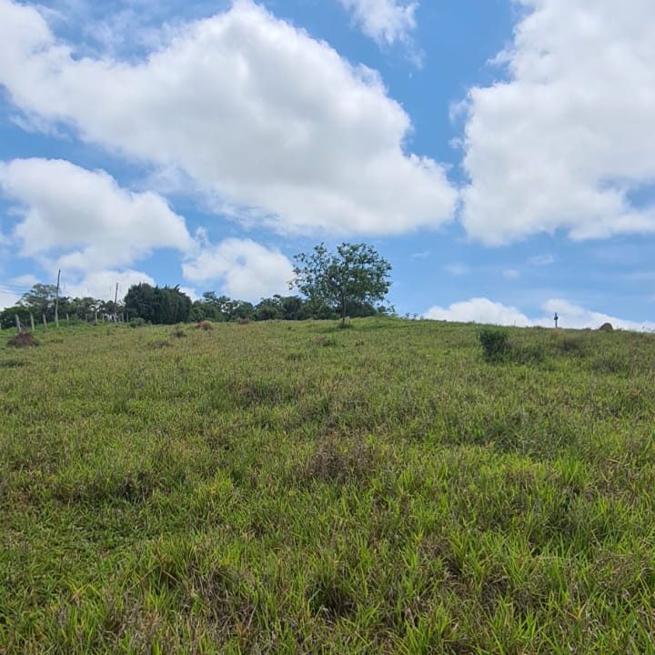 WhatsApp Image 2021-11-25 at 16.59.37 (1)