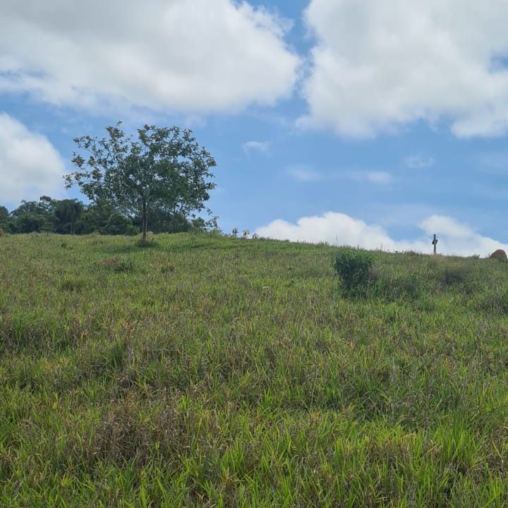 WhatsApp Image 2021-11-25 at 16.59.38