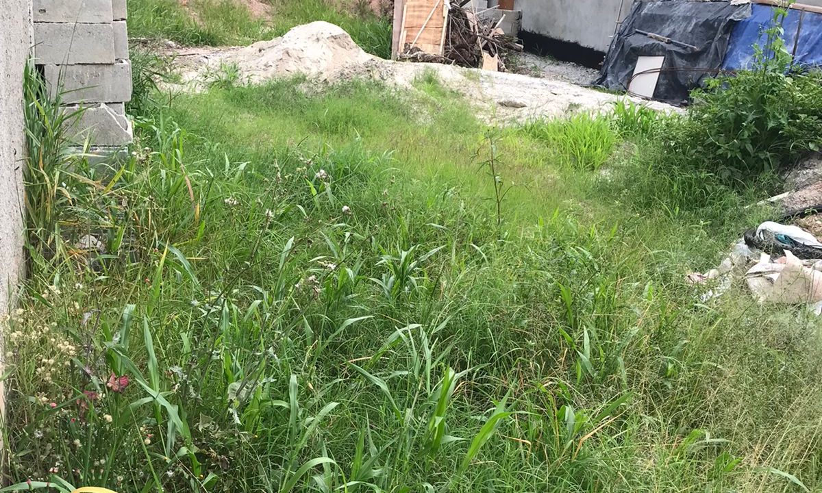 WhatsApp Image 2021-12-22 at 16.37.36