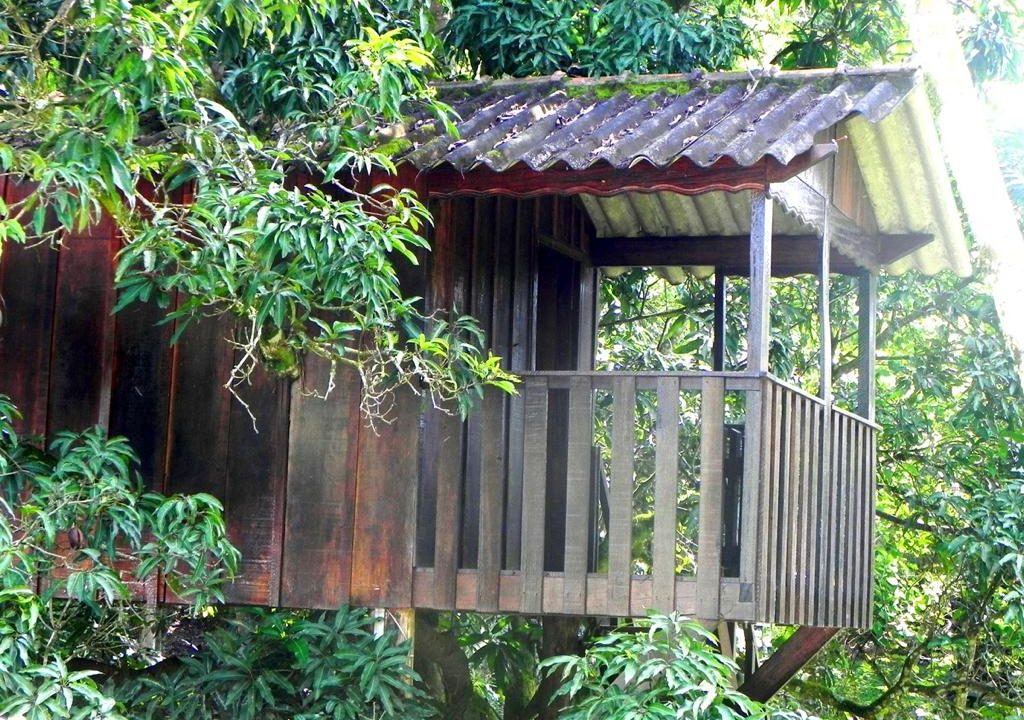 WhatsApp Image 2022-01-26 at 17.52.58