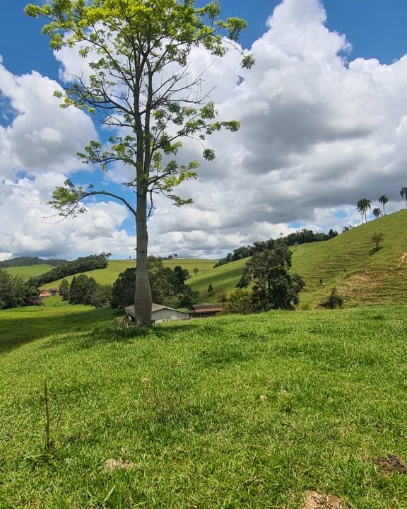 WhatsApp Image 2022-02-18 at 09.20.35 (1)