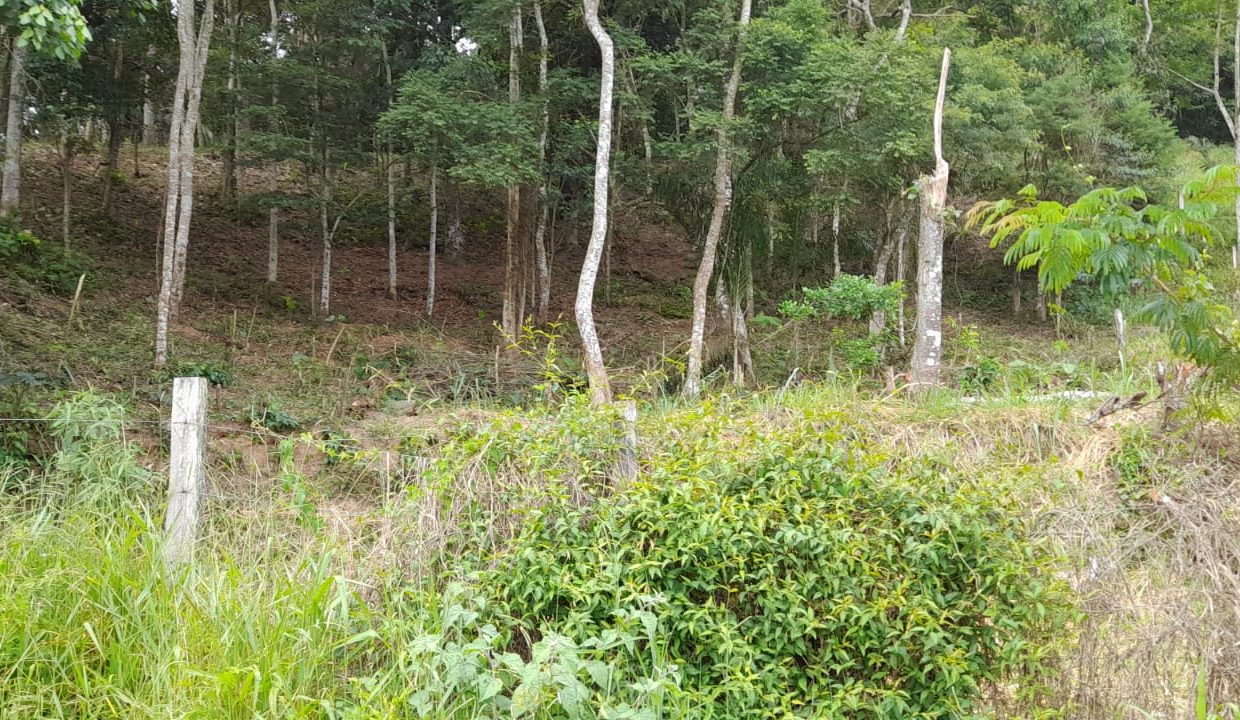 WhatsApp Image 2022-02-21 at 11.11.18 (1)