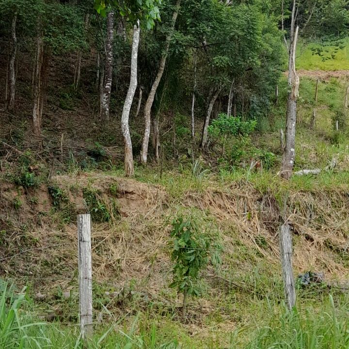 WhatsApp Image 2022-02-21 at 11.11.18