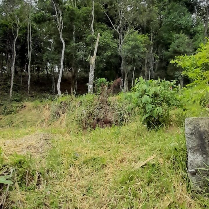 WhatsApp Image 2022-02-21 at 11.11.20 (1)