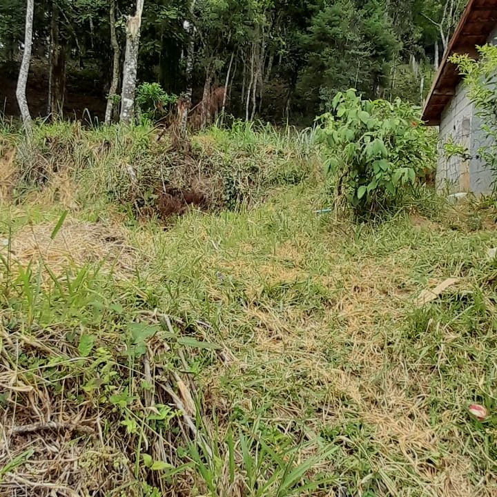 WhatsApp Image 2022-02-21 at 11.11.21