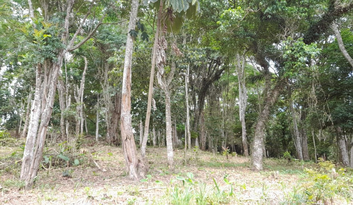 WhatsApp Image 2022-02-21 at 11.11.23 (2)