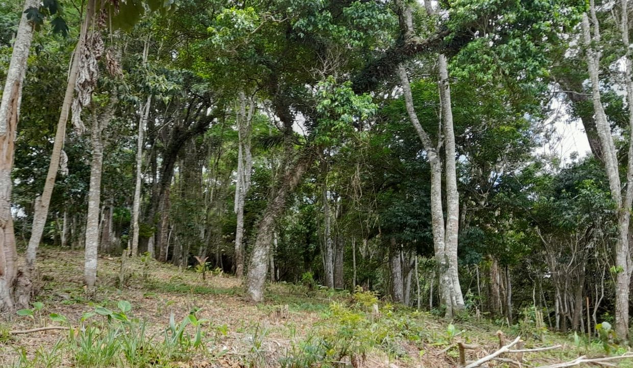 WhatsApp Image 2022-02-21 at 11.11.23 (3)