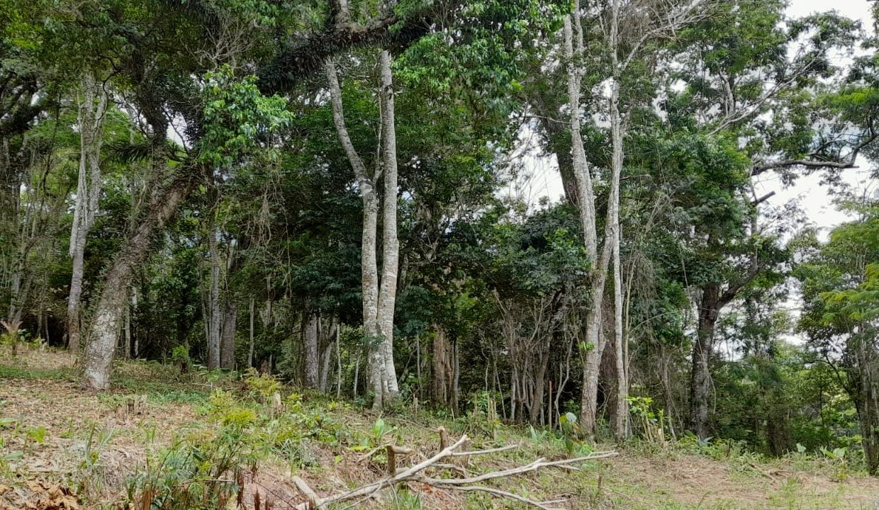 WhatsApp Image 2022-02-21 at 11.11.24 (1)