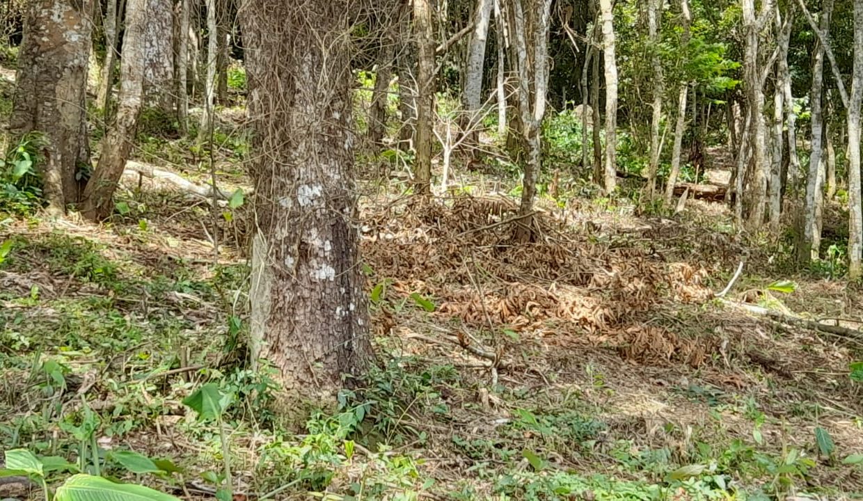 WhatsApp Image 2022-02-21 at 11.11.24