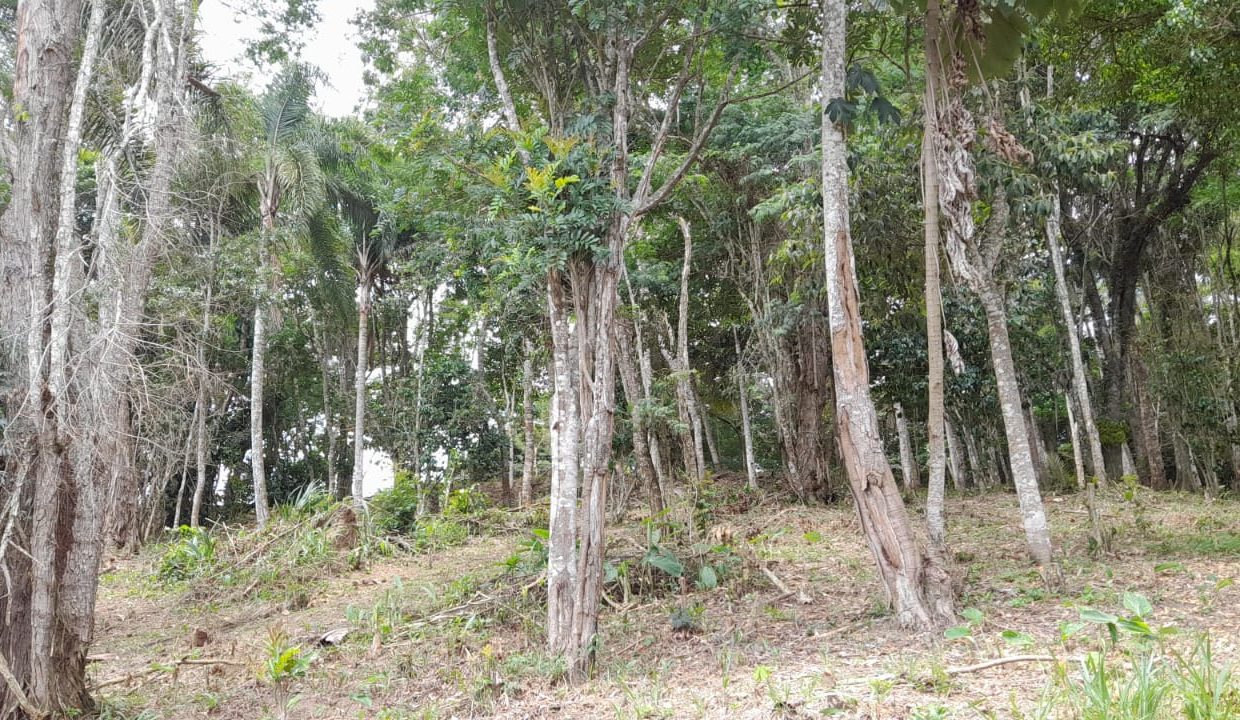 WhatsApp Image 2022-02-21 at 11.11.24 (2)