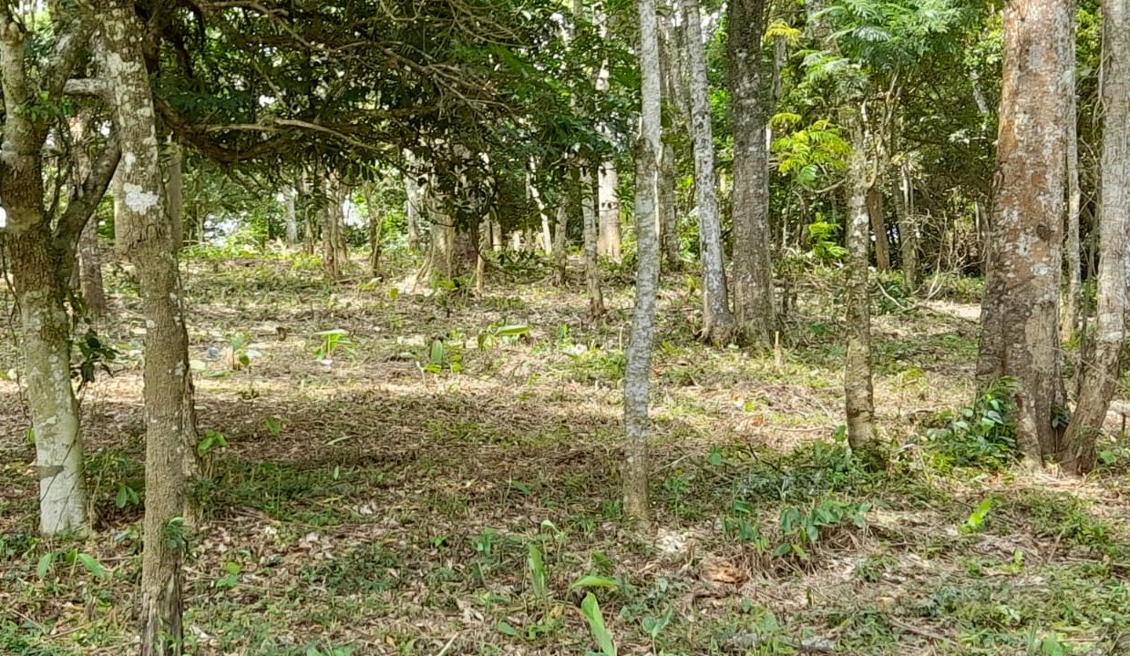 WhatsApp Image 2022-02-21 at 11.11.24 (3)