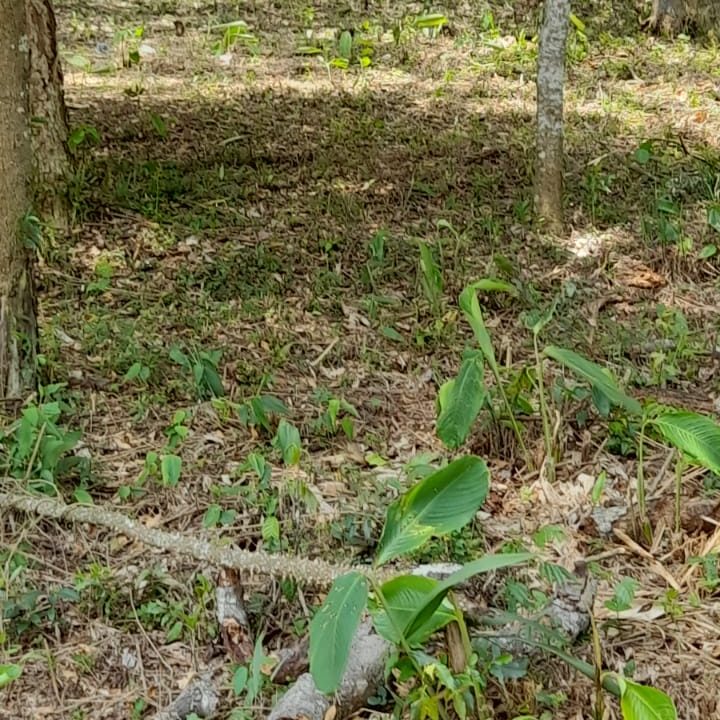 WhatsApp Image 2022-02-21 at 11.11.25 (1)