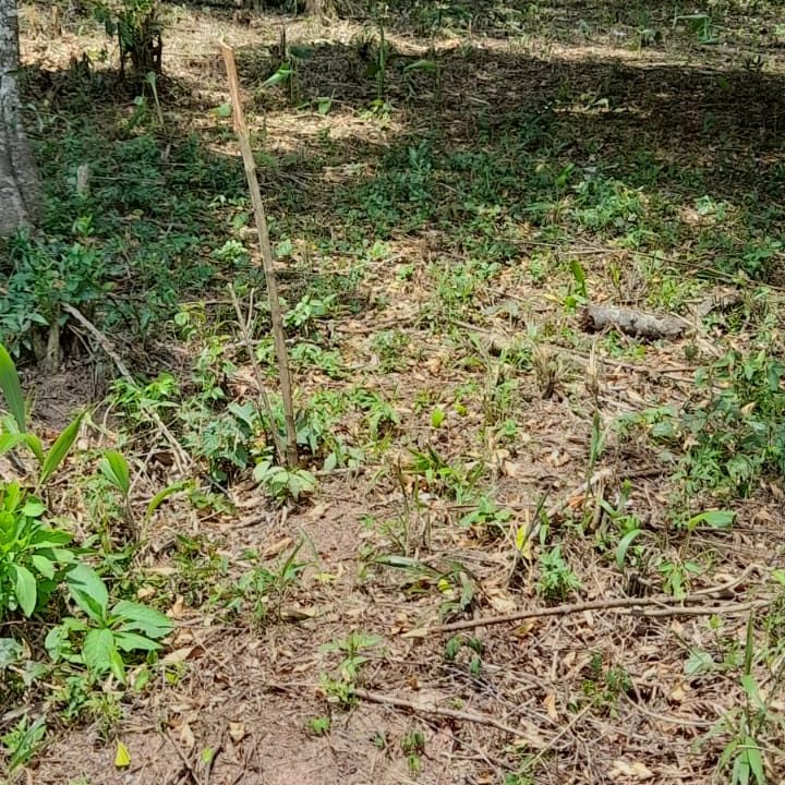 WhatsApp Image 2022-02-21 at 11.11.25 (2)