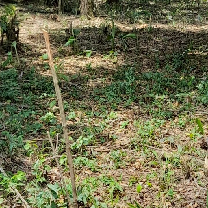 WhatsApp Image 2022-02-21 at 11.11.25 (3)