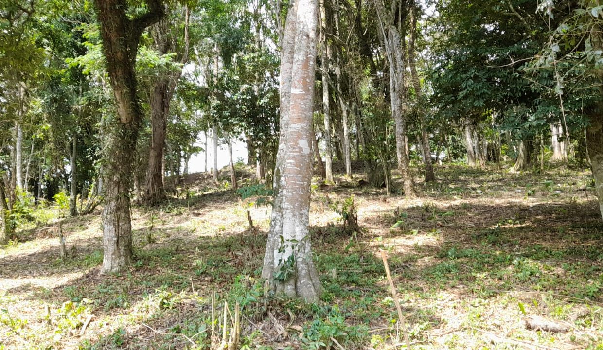 WhatsApp Image 2022-02-21 at 11.11.26