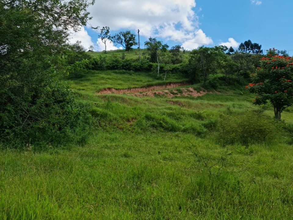 WhatsApp Image 2022-03-08 at 15.49.17 (1)