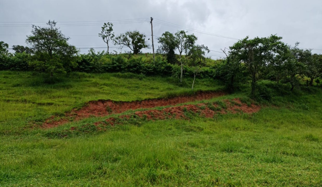 WhatsApp Image 2022-03-08 at 15.49.17 (2)