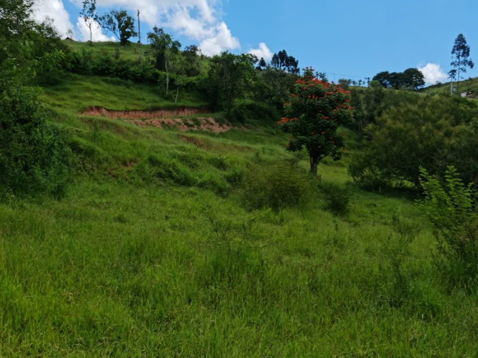 WhatsApp Image 2022-03-08 at 15.49.17