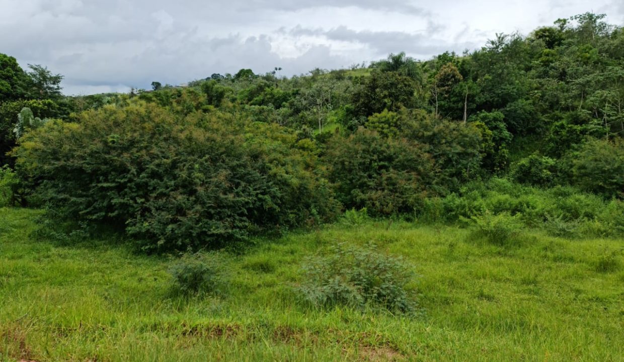 WhatsApp Image 2022-03-08 at 15.49.18 (1)