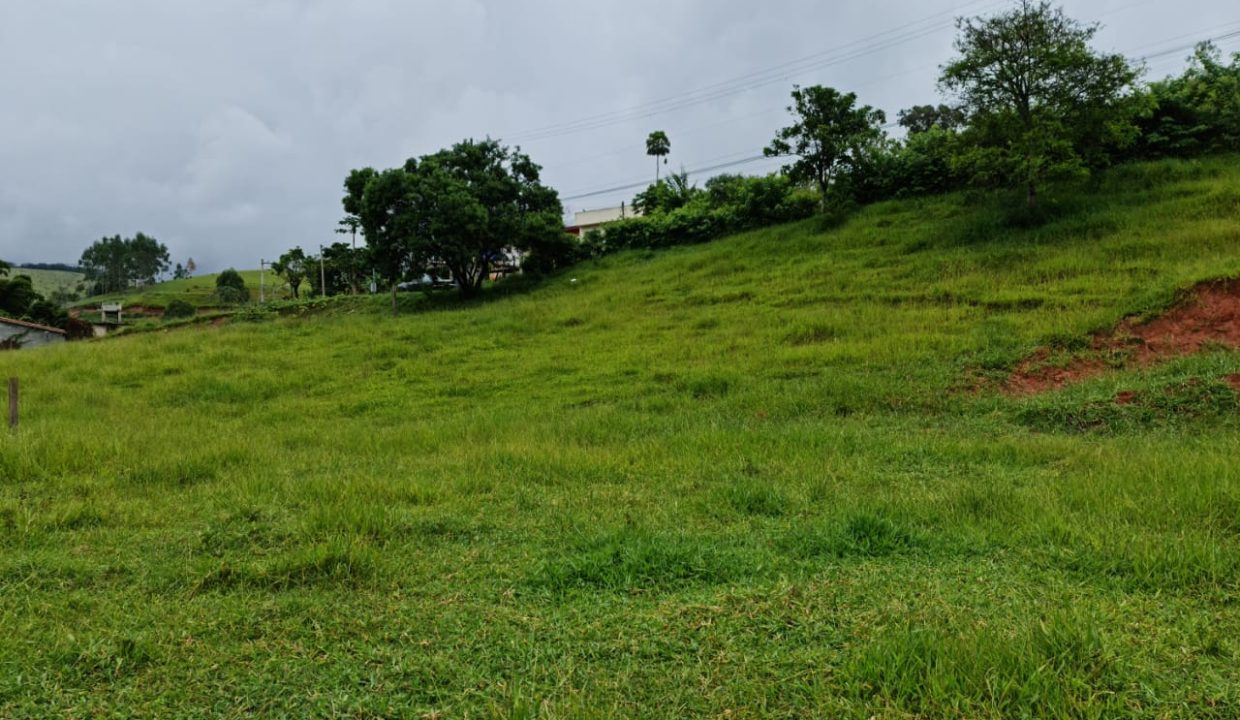 WhatsApp Image 2022-03-08 at 15.49.18